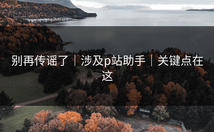 别再传谣了｜涉及p站助手｜关键点在这