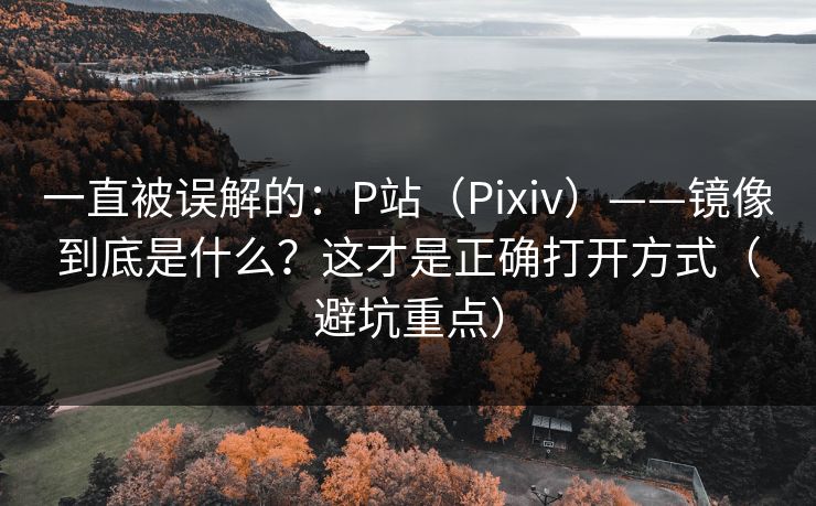 一直被误解的：P站（Pixiv）——镜像到底是什么？这才是正确打开方式（避坑重点）
