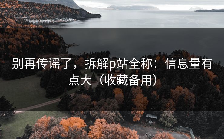 别再传谣了,拆解p站全称:信息量有点大(收藏备用) 别再传谣了,拆解p站全称:信息量有点大(收藏备用)