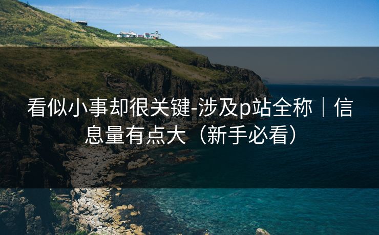 看似小事却很关键-涉及p站全称｜信息量有点大（新手必看）