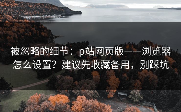 被忽略的细节：p站网页版——浏览器怎么设置？建议先收藏备用，别踩坑