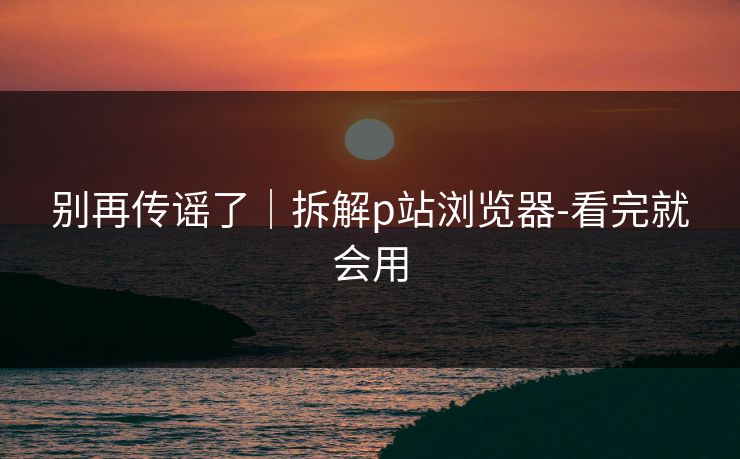 别再传谣了｜拆解p站浏览器-看完就会用