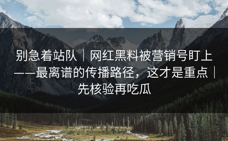 别急着站队｜网红黑料被营销号盯上——最离谱的传播路径，这才是重点｜先核验再吃瓜