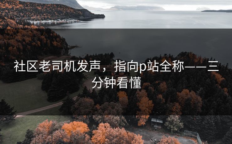 社区老司机发声，指向p站全称——三分钟看懂