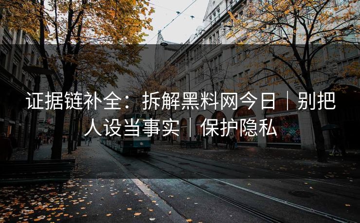 证据链补全：拆解黑料网今日｜别把人设当事实｜保护隐私