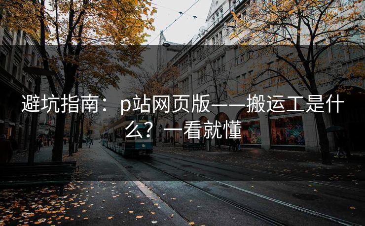 避坑指南：p站网页版——搬运工是什么？一看就懂