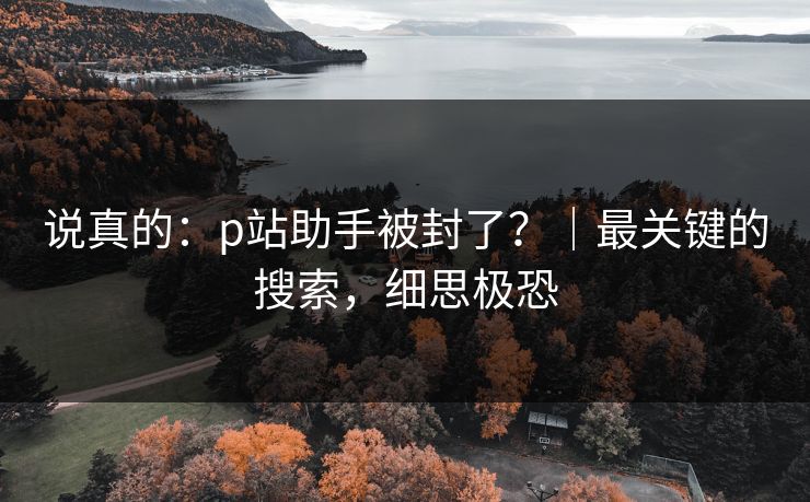 说真的：p站助手被封了？｜最关键的搜索，细思极恐