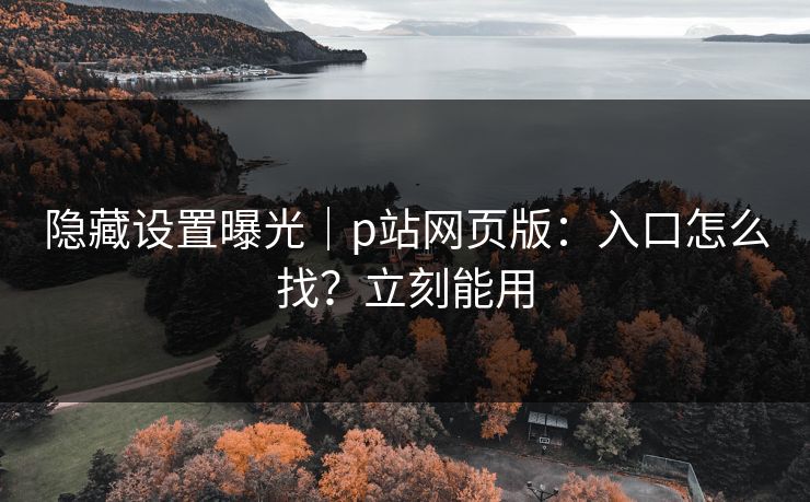 隐藏设置曝光｜p站网页版：入口怎么找？立刻能用