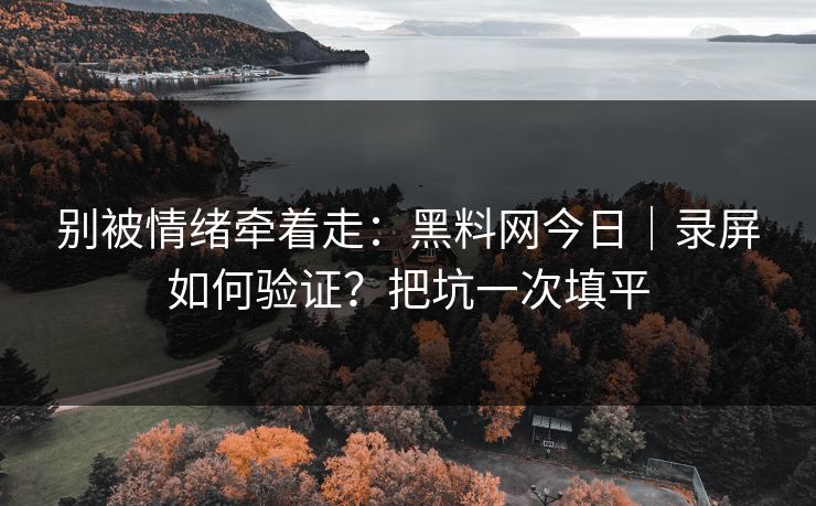 别被情绪牵着走：黑料网今日｜录屏如何验证？把坑一次填平