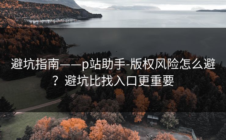 避坑指南——p站助手-版权风险怎么避?避坑比找入口更重要 避坑指南——p站助手-版权风险怎么避?避坑比找入口更重要