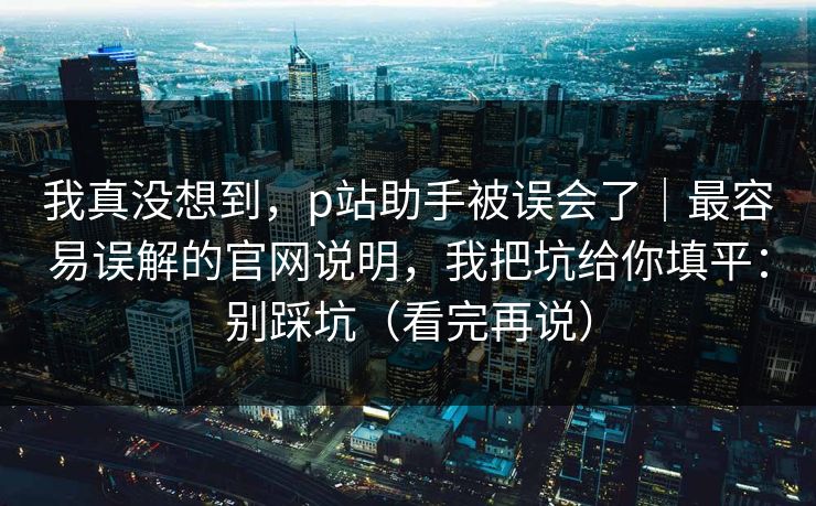 我真没想到，p站助手被误会了｜最容易误解的官网说明，我把坑给你填平：别踩坑（看完再说）