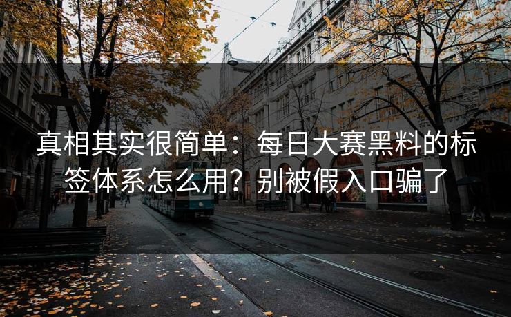 真相其实很简单：每日大赛黑料的标签体系怎么用？别被假入口骗了