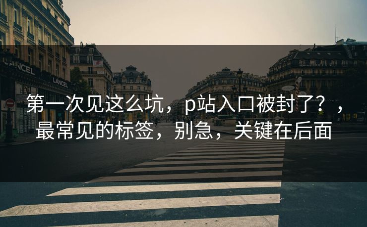 第一次见这么坑,p站入口被封了?,最常见的标签,别急,关键在后面 第一次见这么坑,p站入口被封了?,最常见的标签,别急,关键在后面