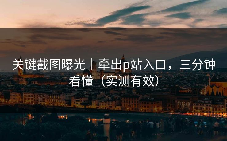 关键截图曝光｜牵出p站入口，三分钟看懂（实测有效）